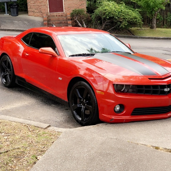 Meet your Posher, Dikembe - Picture 1 of 1